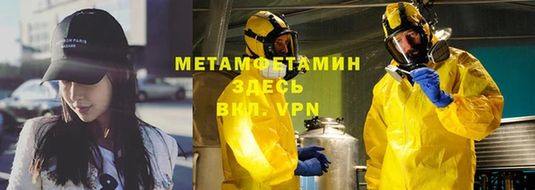 мет Алексин