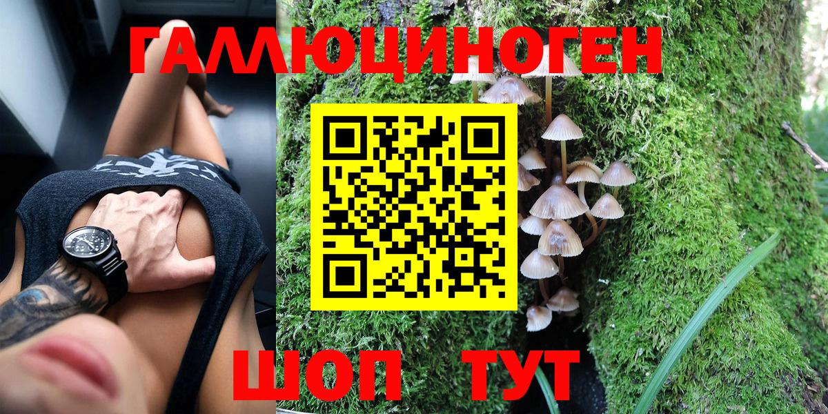 Галлюциногенные грибы GOLDEN TEACHER  Вход с VPN  Астрахань 