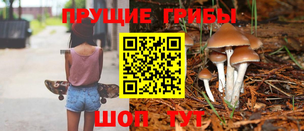 Псилоцибиновые грибы MAGIC MUSHROOMS Астрахань